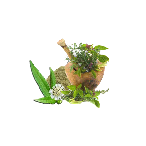 Herbal Spa